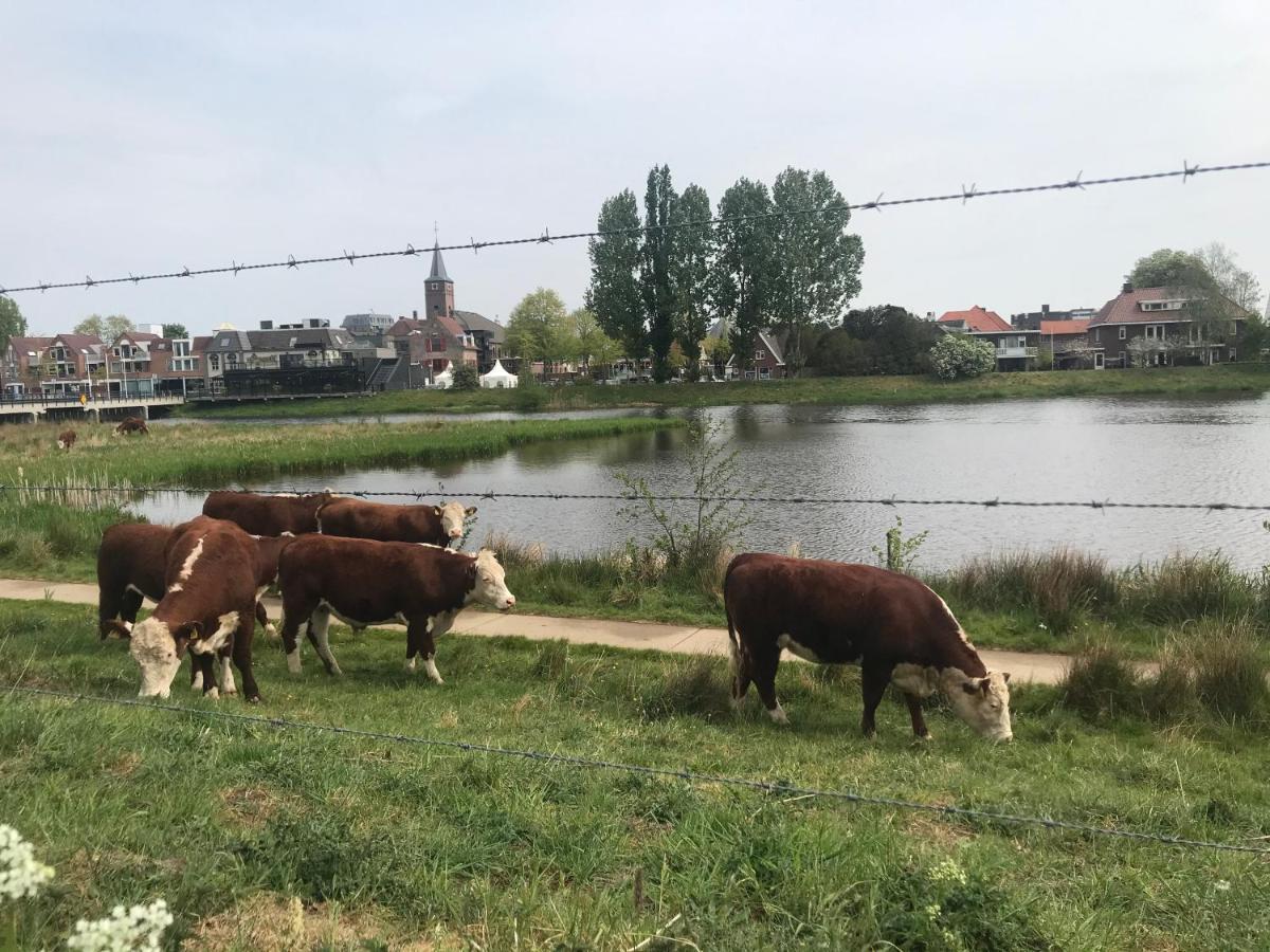 B&B Tussen Vecht En Veer 하르덴베르크 외부 사진